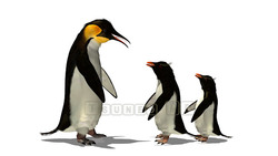 映像CG ペンギン Penguin120421-006