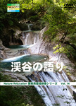 [Commercial] Nature Relaxation Professional Edition Series 2 Forest and Clear Stream Narrative 2