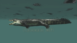 圖像 CG 鱷魚
